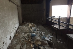 IMG_5019-e1489135332256