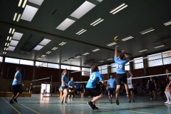 Volleyballturnier 2018