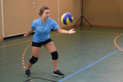 Volleyballturnier 2018