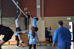 Volleyballturnier 2018